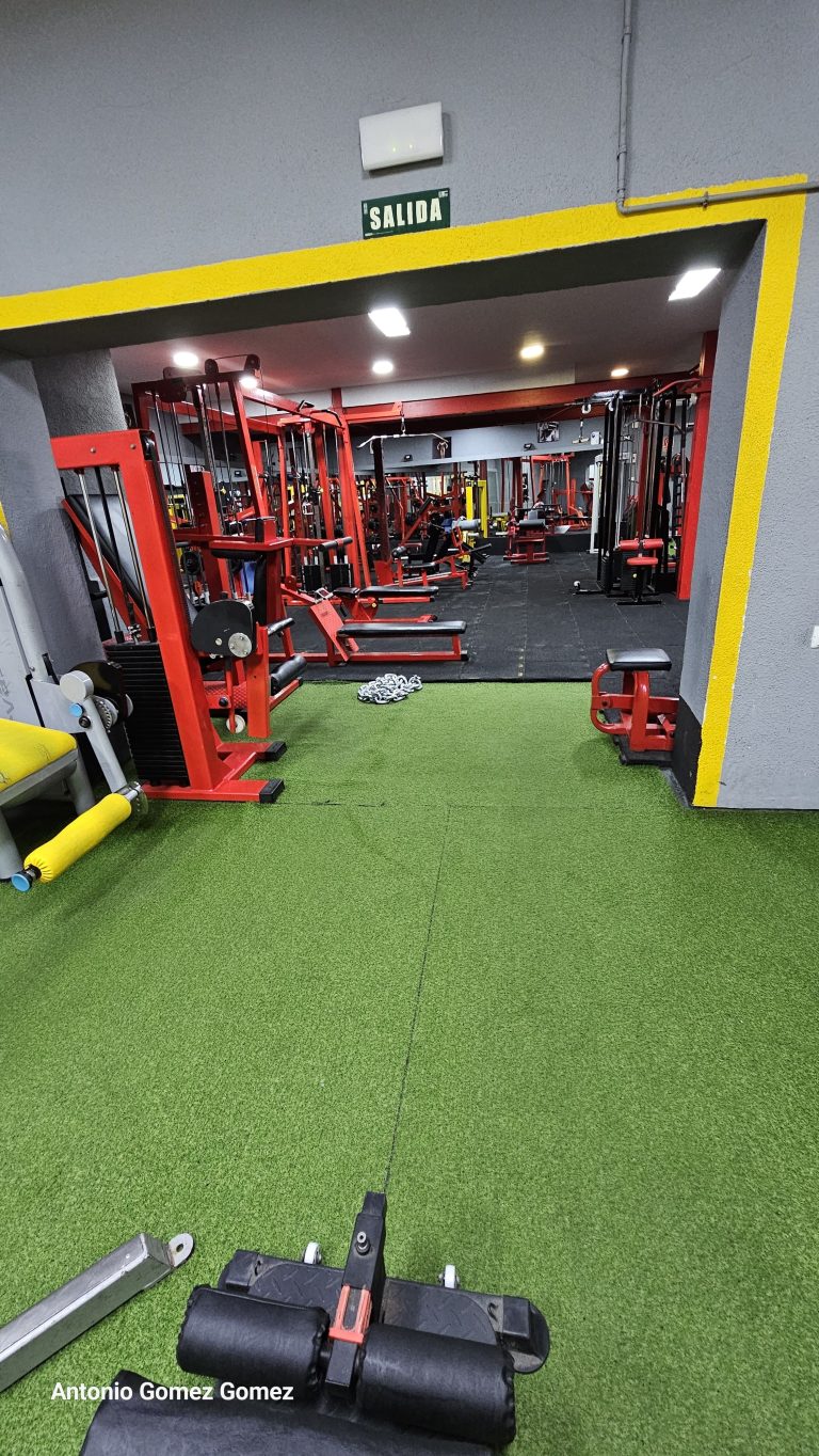 gimnasio (1)