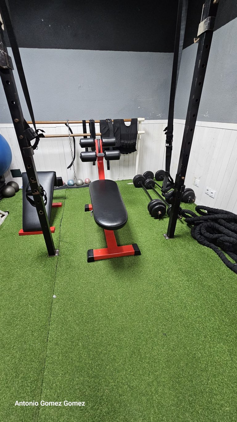 gimnasio (11)