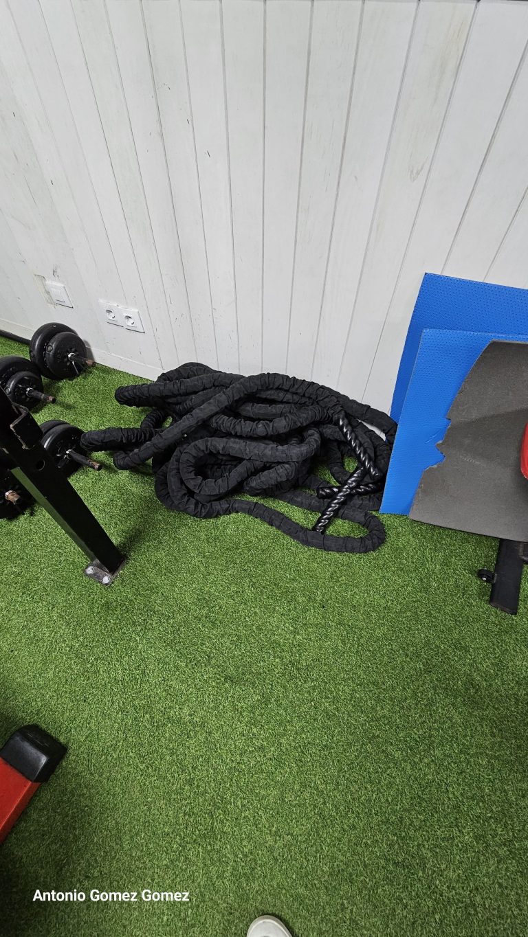 gimnasio (12)