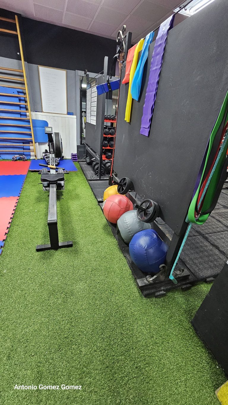gimnasio (13)