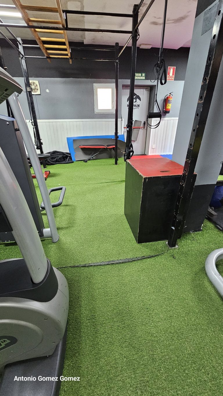 gimnasio (14)