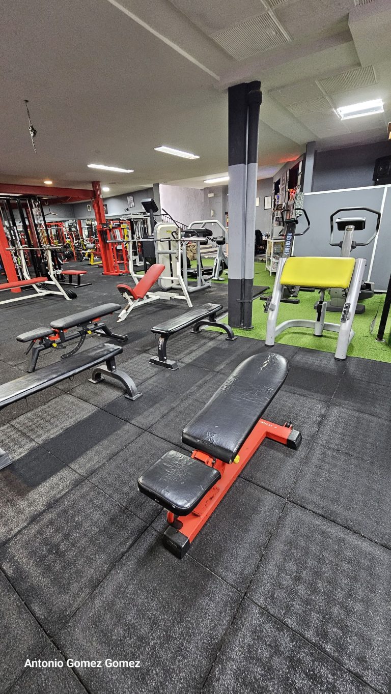 gimnasio (15)
