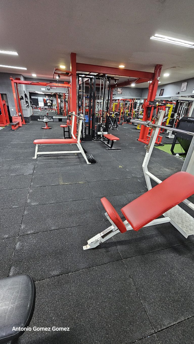 gimnasio (16)
