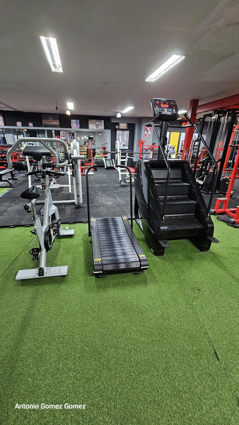 gimnasio (18)