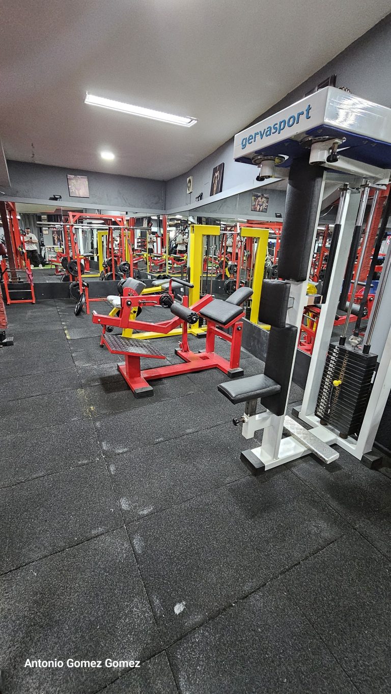 gimnasio (19)