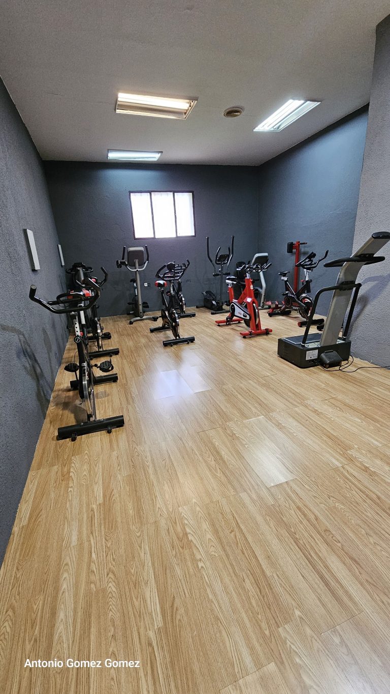 gimnasio (2)