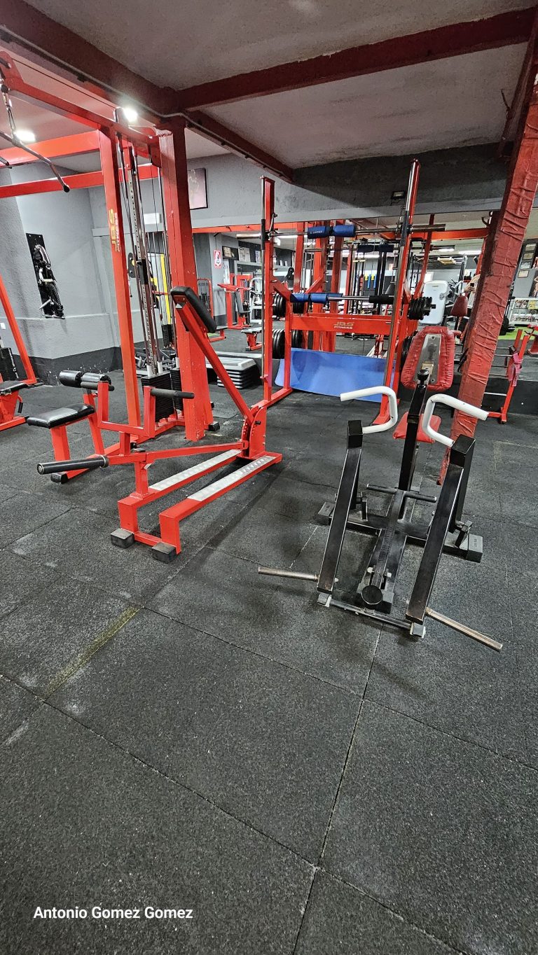 gimnasio (20)