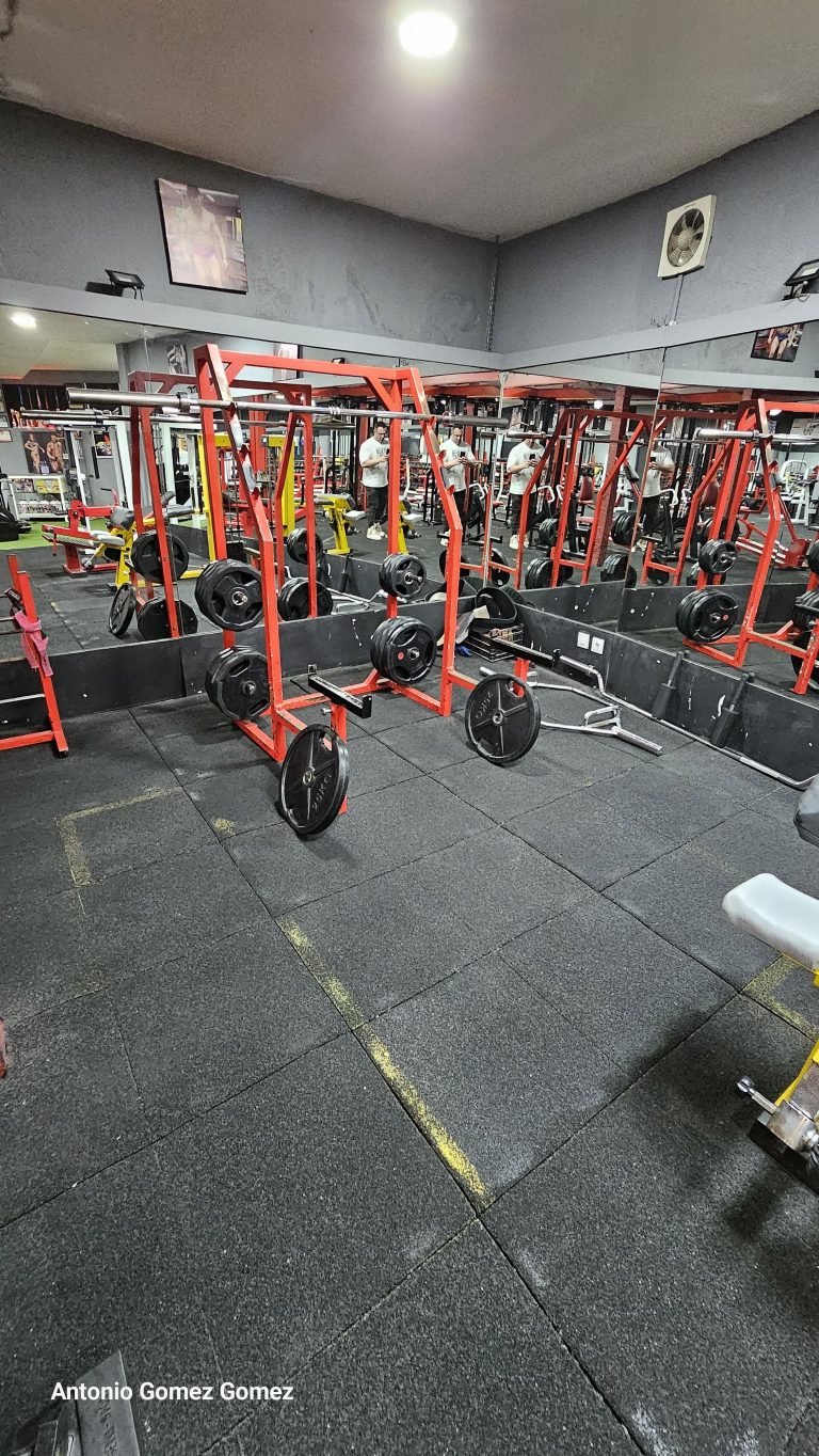 gimnasio (21)