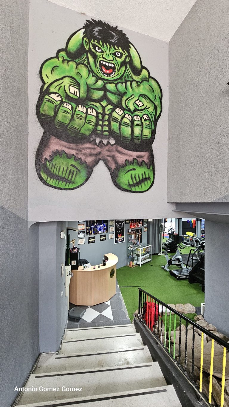 gimnasio (22)