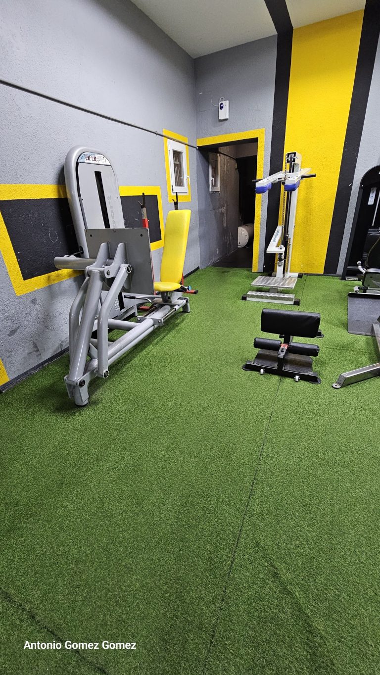gimnasio (23)