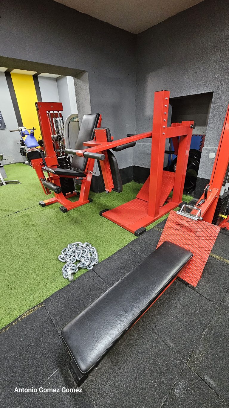 gimnasio (24)