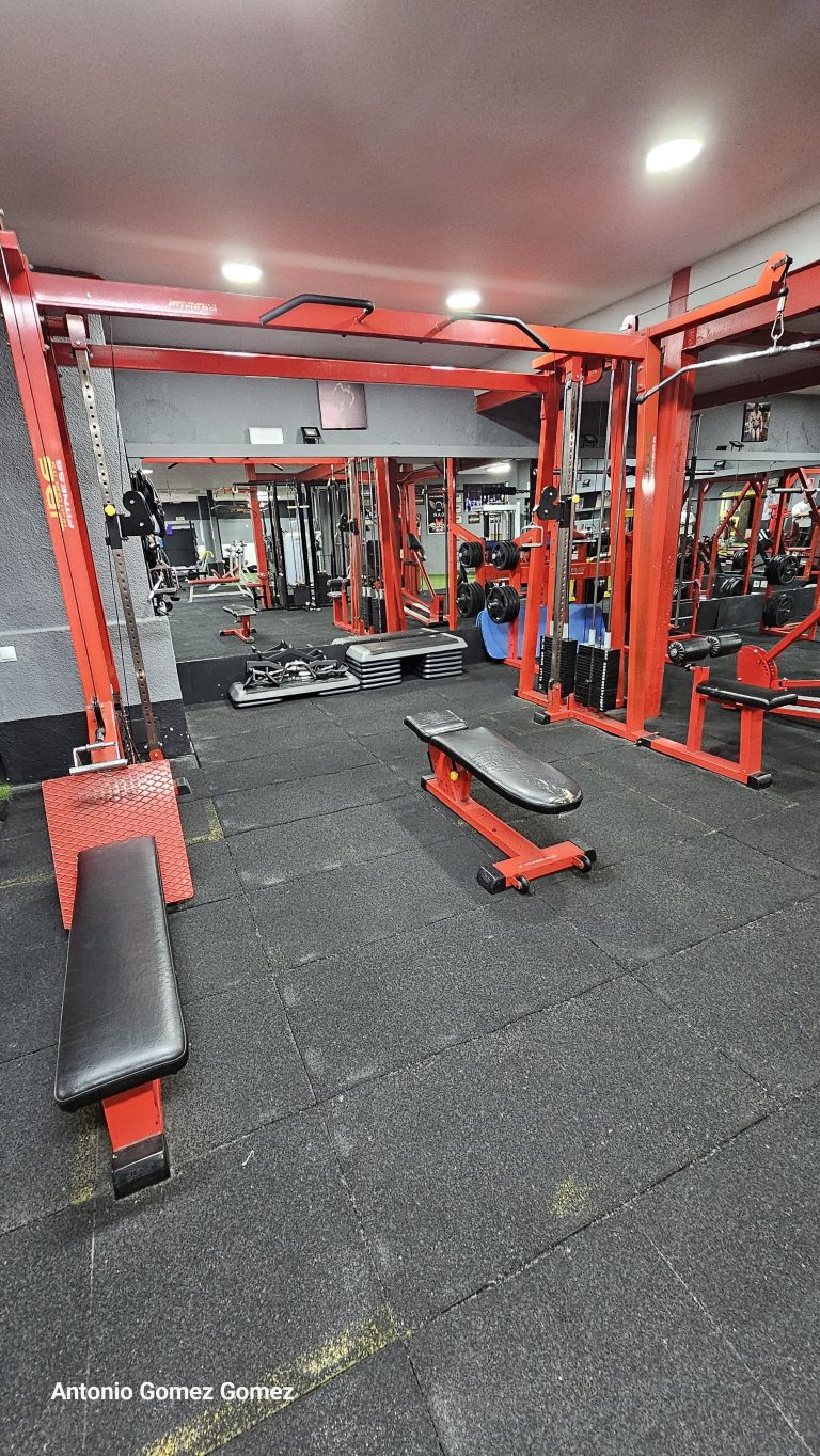 gimnasio (25)
