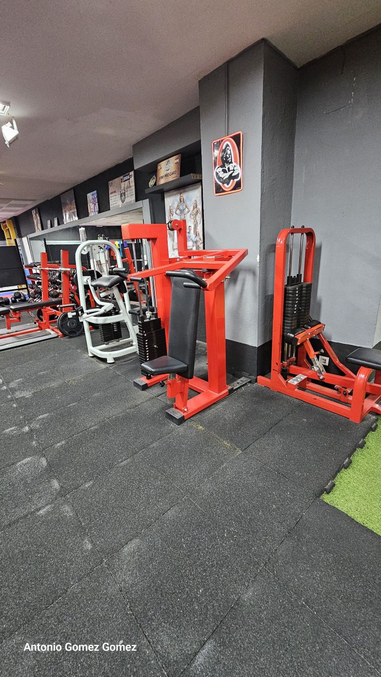 gimnasio (26)