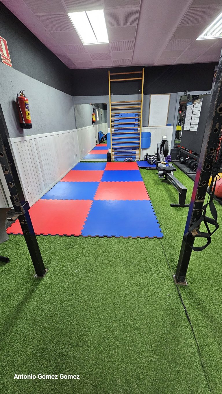 gimnasio (27)