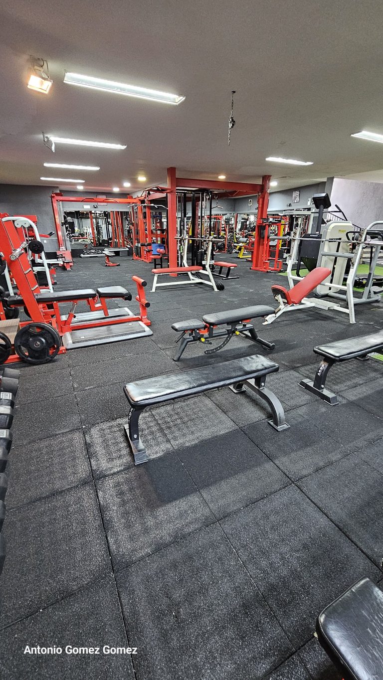 gimnasio (28)