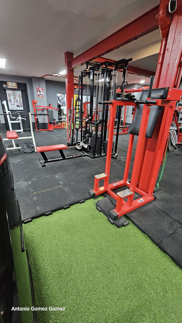 gimnasio (29)