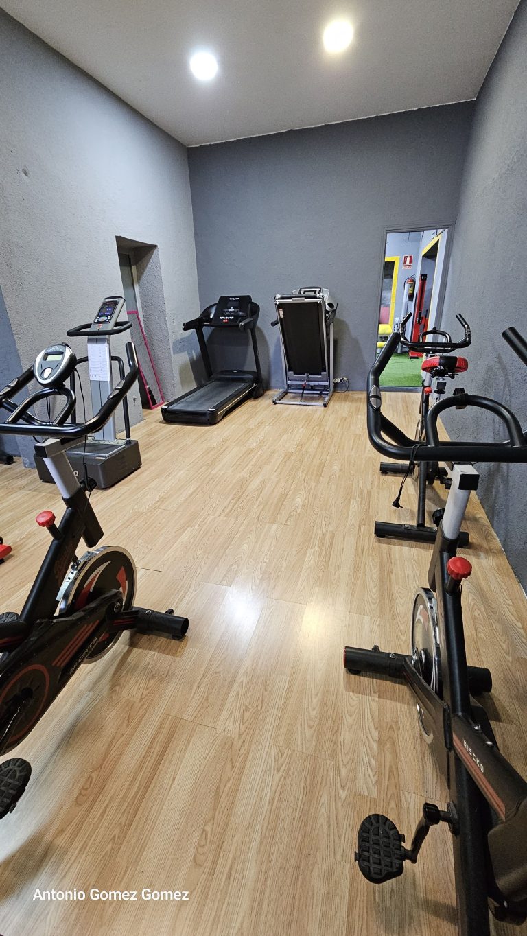 gimnasio (3)