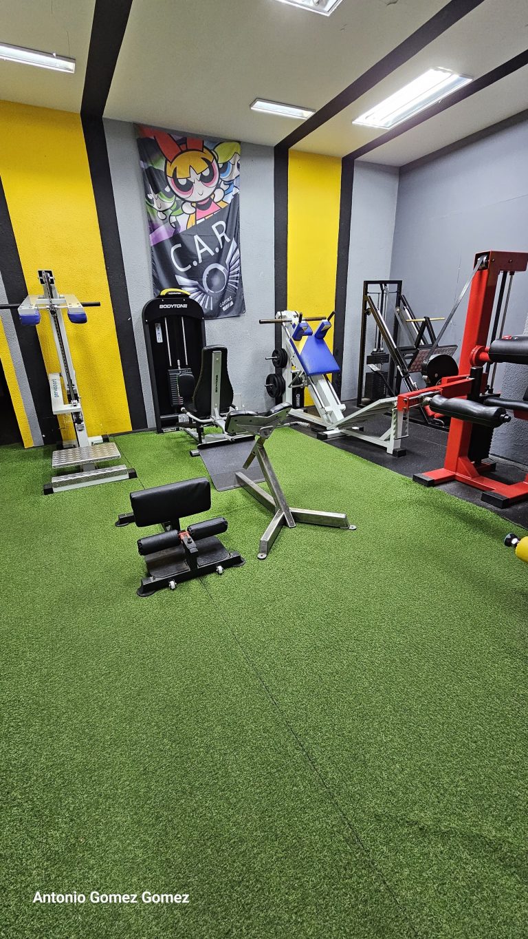 gimnasio (4)