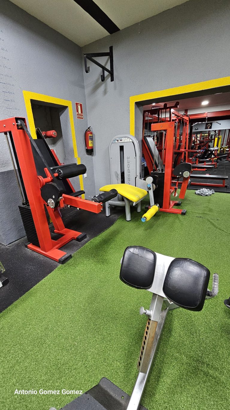gimnasio (5)