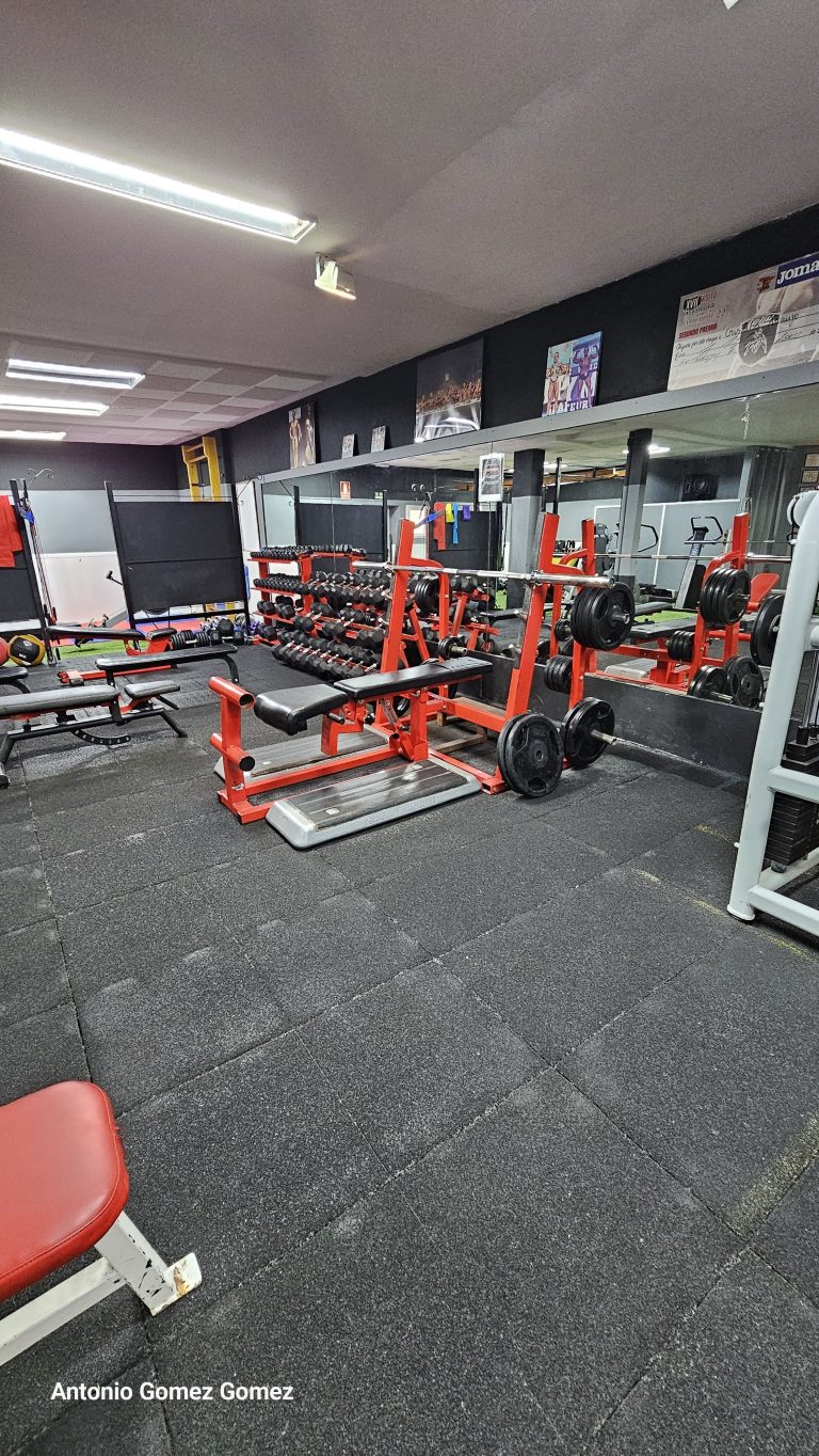 gimnasio (6)