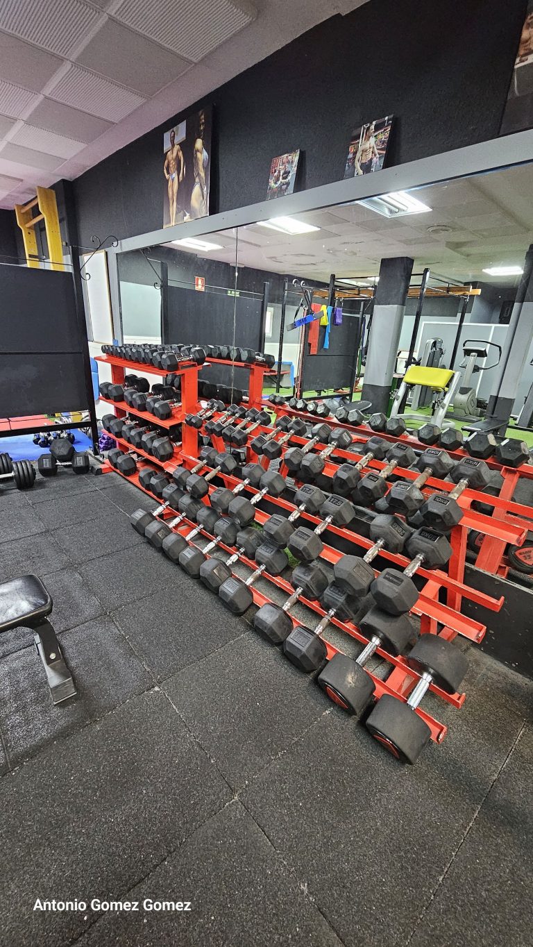 gimnasio (7)