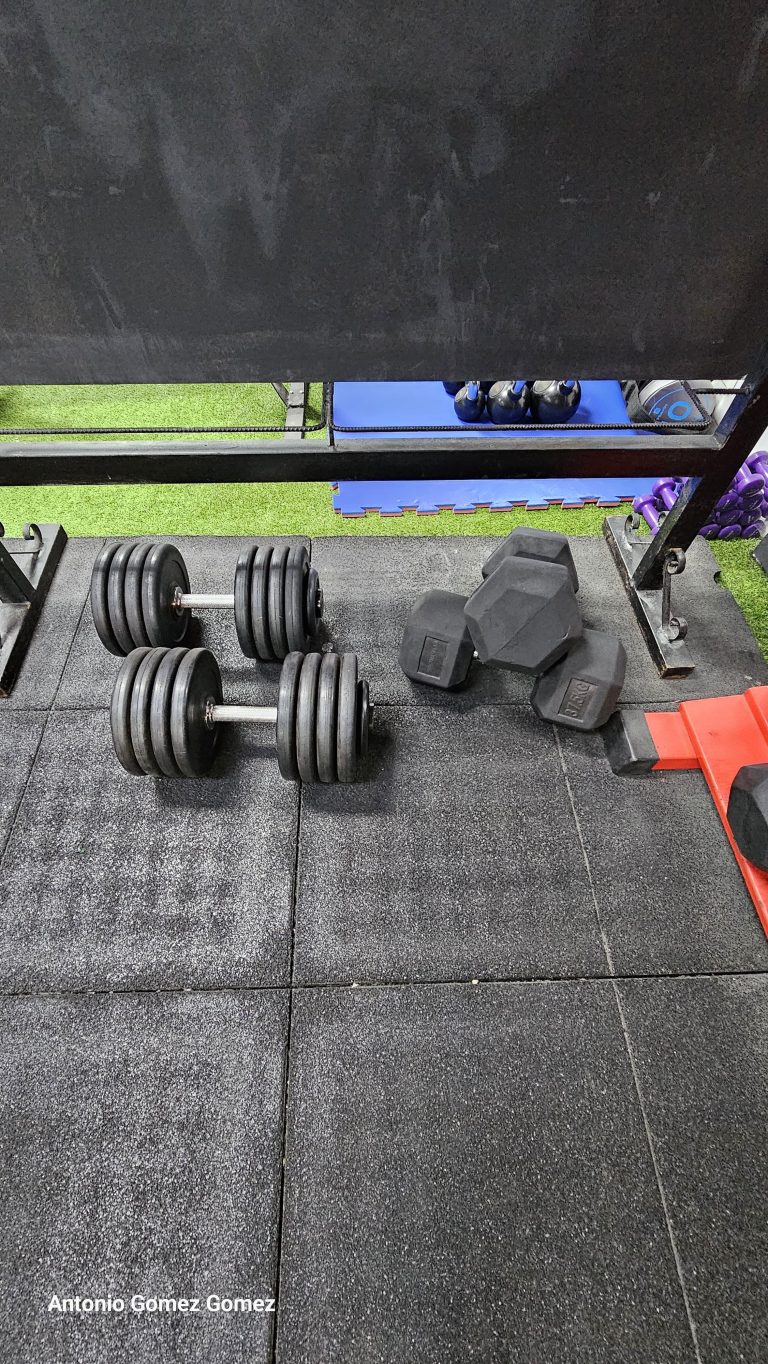 gimnasio (8)