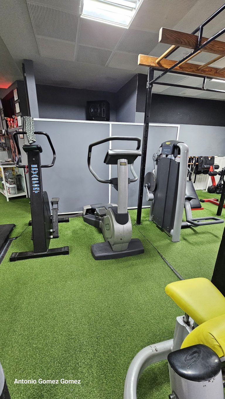 gimnasio (9)